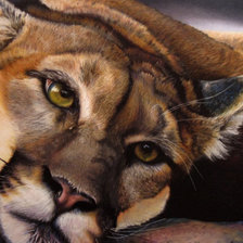 Схема вышивки «№1697124»