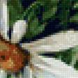 Предпросмотр схемы вышивки «№1697331»