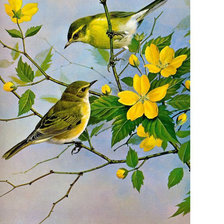 Схема вышивки «№1697411»