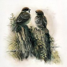 Схема вышивки «№1697445»