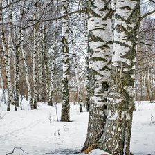 Схема вышивки «№1697781»