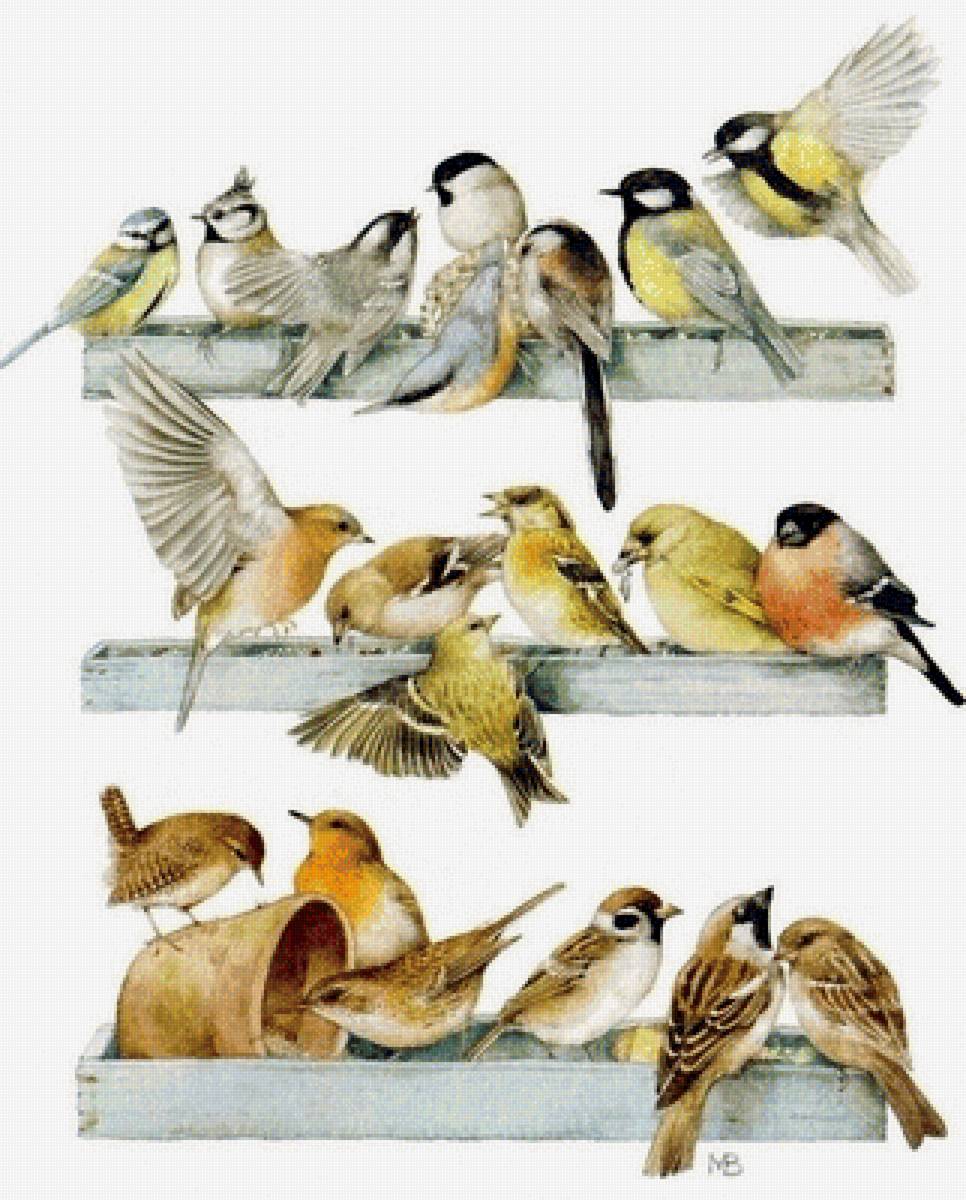 Птички - арт, птицы - предпросмотр