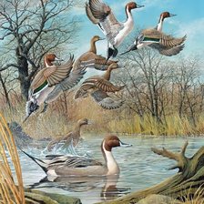 Схема вышивки «Мир птиц»