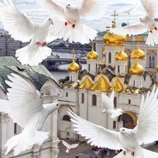 Голуби над храмом