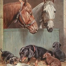 Схема вышивки «на конюшне»