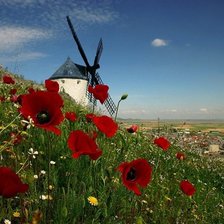 Схема вышивки «Летний день»
