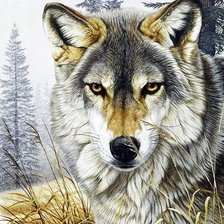 Схема вышивки «Серия "Хищники". Волки»