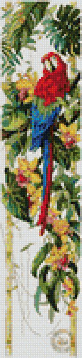 попугай - птицы попугай - предпросмотр