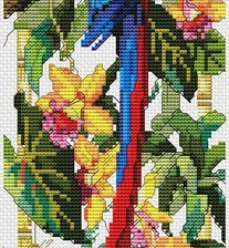 Схема вышивки «попугай»