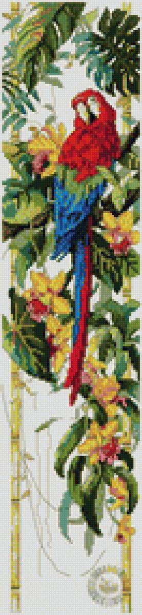 попугай - птицы попугай - предпросмотр