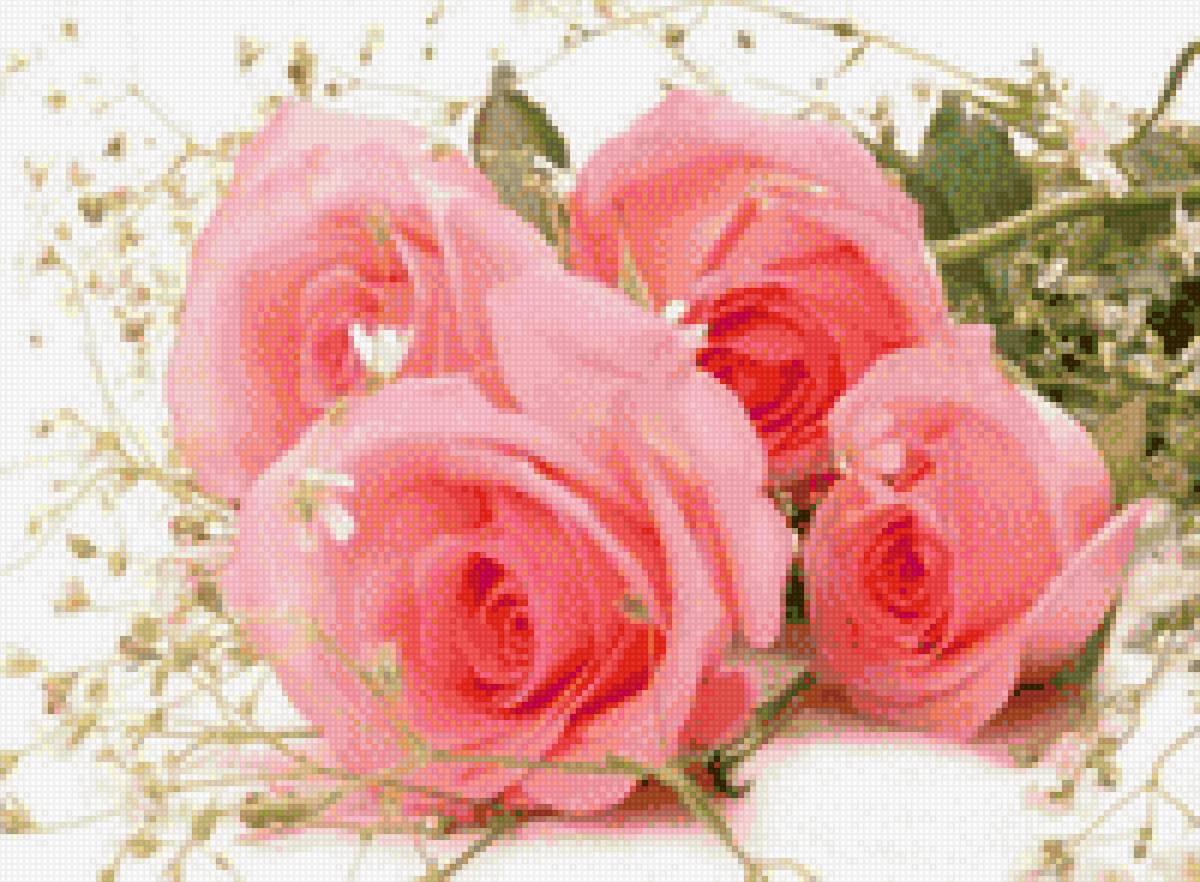 романтика - романтика. розы - предпросмотр