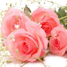 Схема вышивки «романтика»