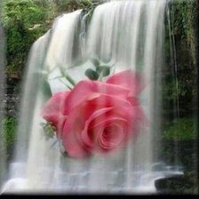 Схема вышивки «розы»