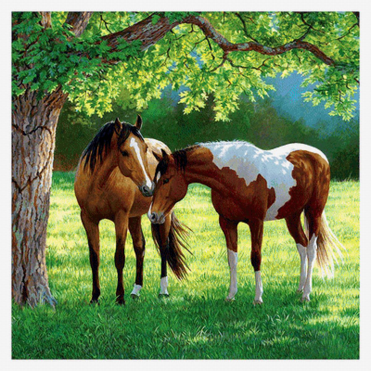 284 - предпросмотр