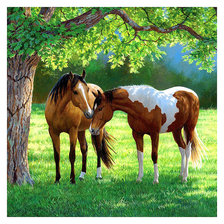 Схема вышивки «284»