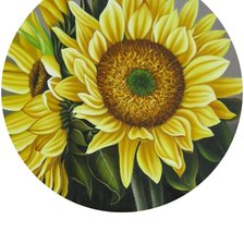 Подсолнухи