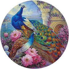 Схема вышивки «пара павлинов»