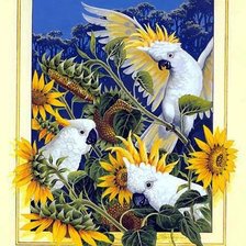 Схема вышивки «№1700570»