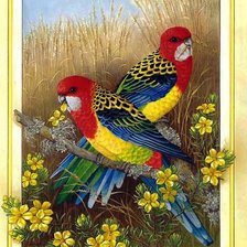 Схема вышивки «№1700571»