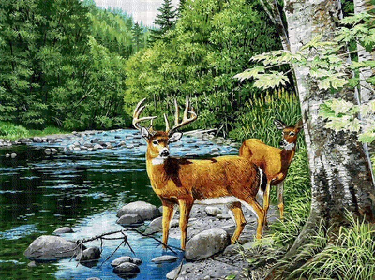 №1700616 - предпросмотр