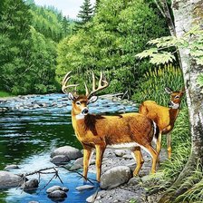 Схема вышивки «№1700616»