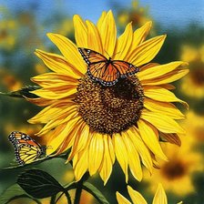 Схема вышивки «№1700624»