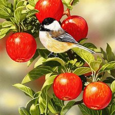 Схема вышивки «№1700632»