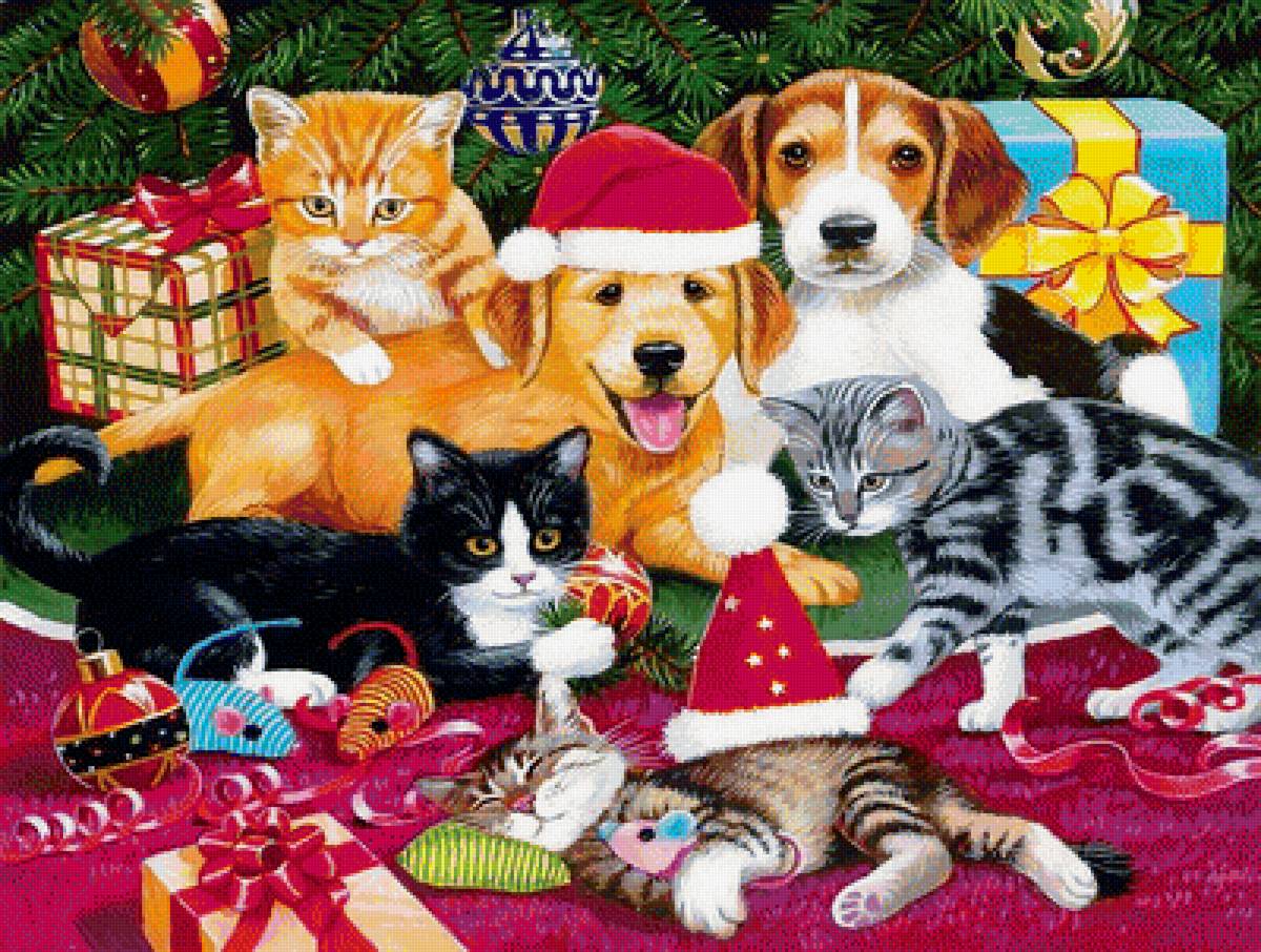 №1700642 - предпросмотр