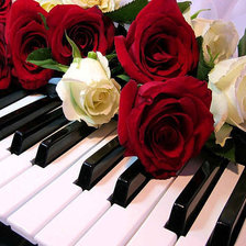 Схема вышивки «289»