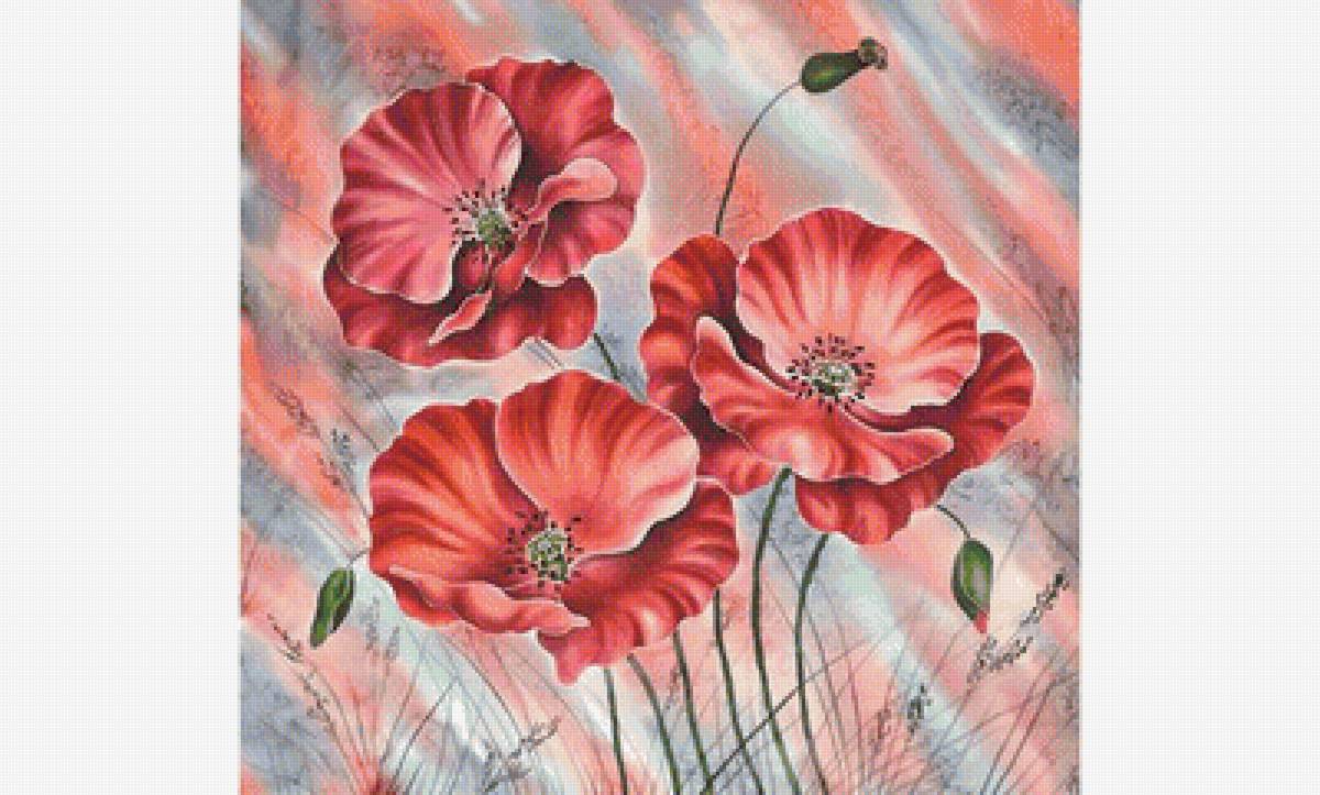 Маки - цветы - предпросмотр