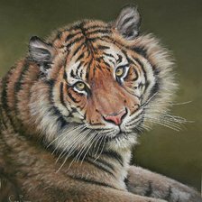 Схема вышивки «№1701114»