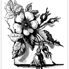 Схема вышивки «№1701371»