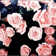 Схема вышивки «№1701435»