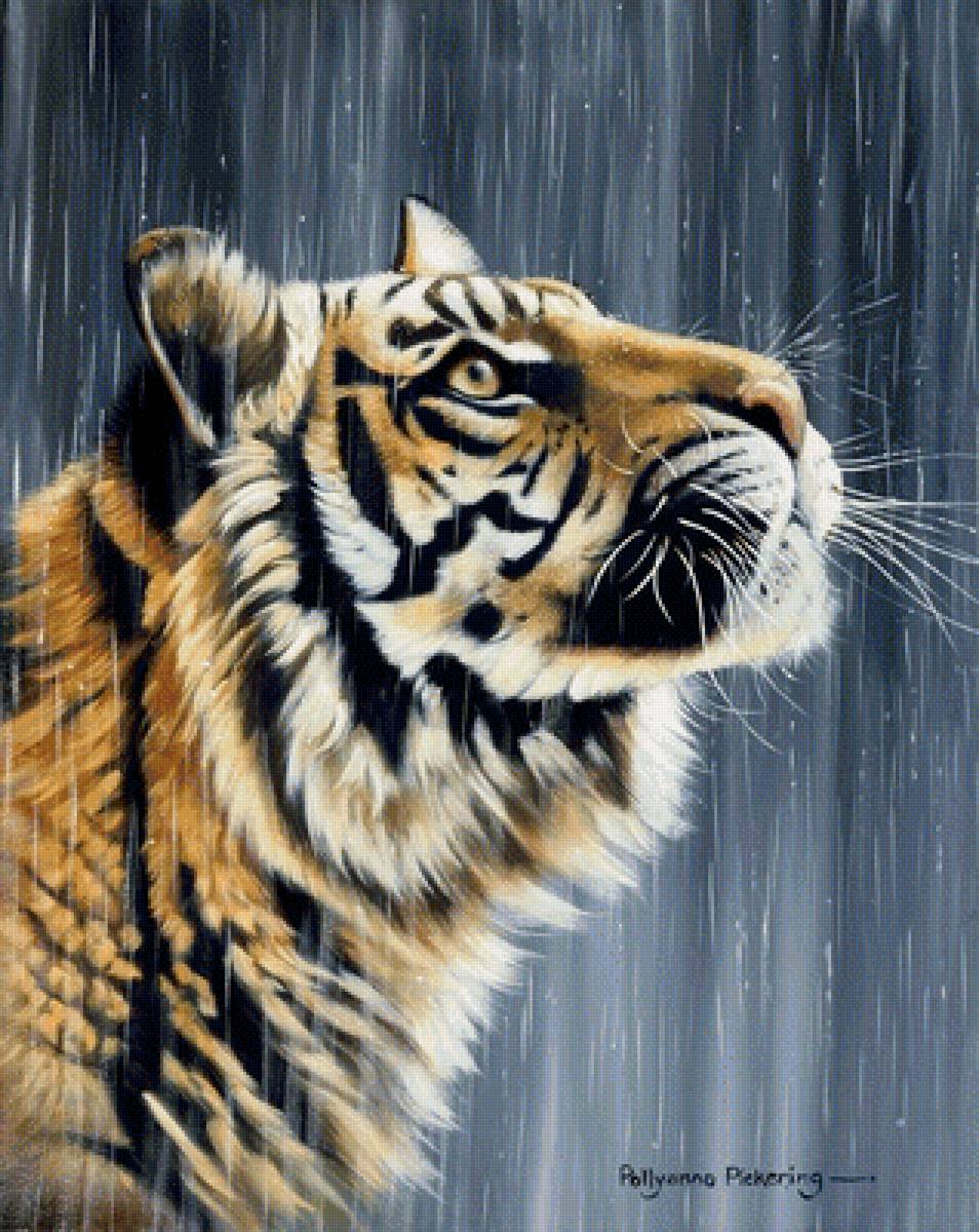 Мир животных - портрет, животное, тигр, ари - предпросмотр