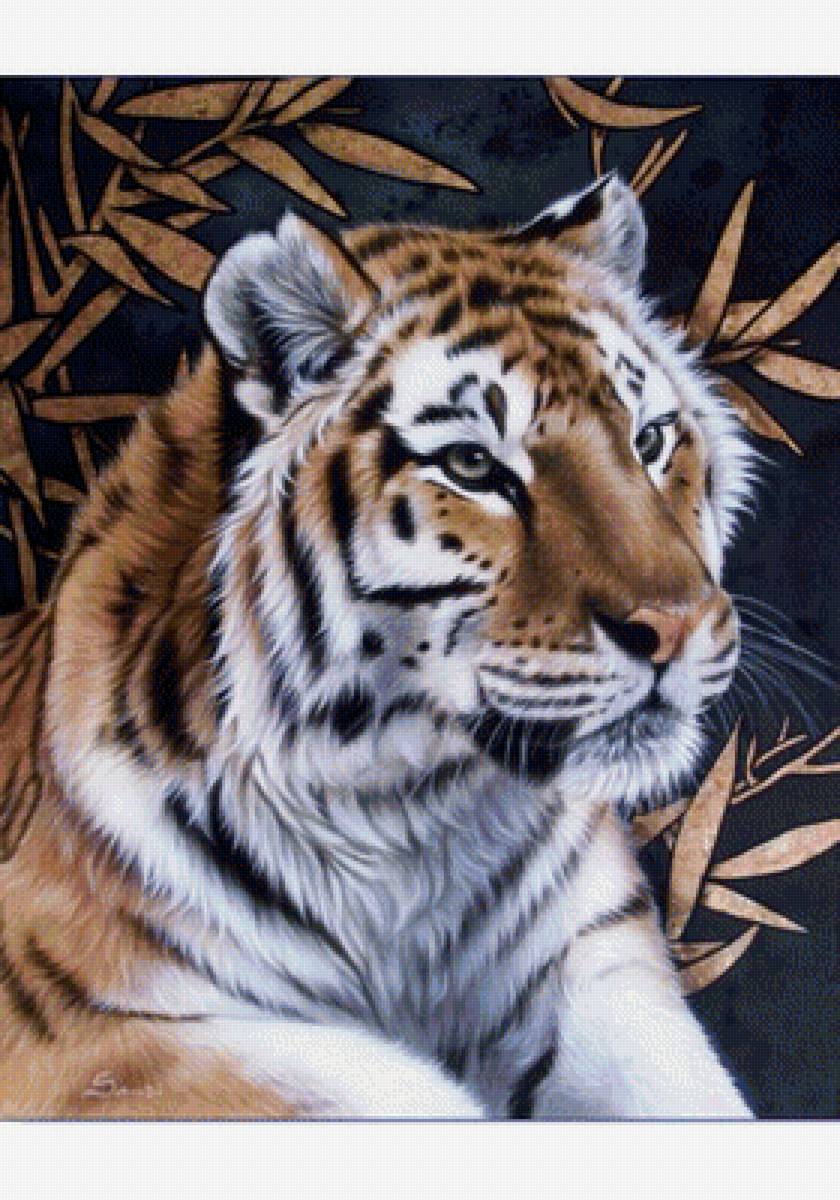 Тигр - звери, животные - предпросмотр