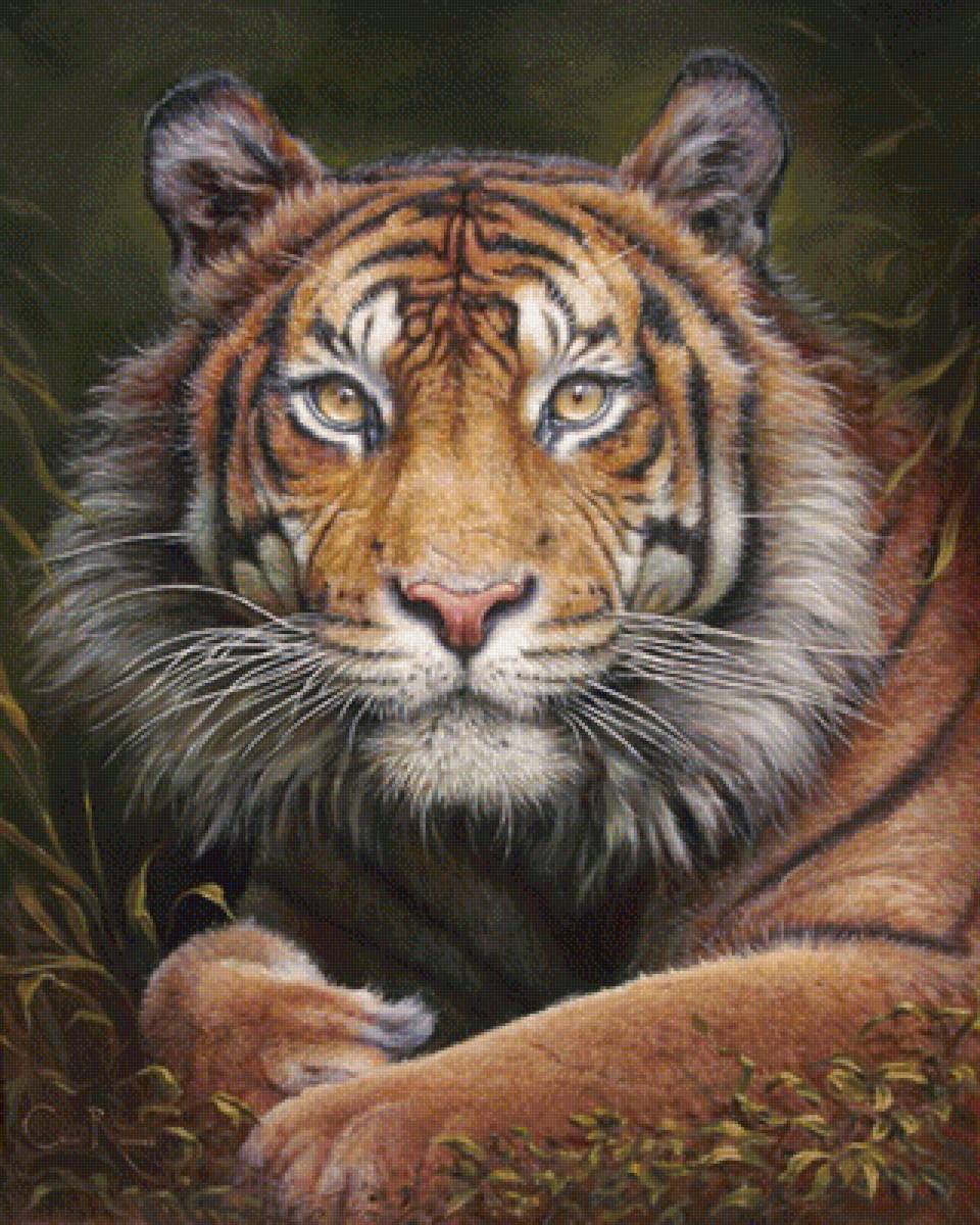 №1701582 - дикие животные - предпросмотр