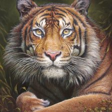 Схема вышивки «№1701582»