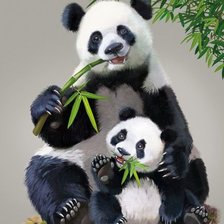 Схема вышивки «Мир животных»