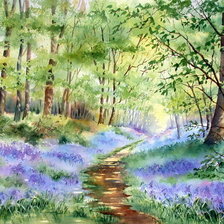 летняя опушка