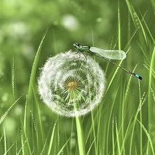 Схема вышивки «одуванчики»