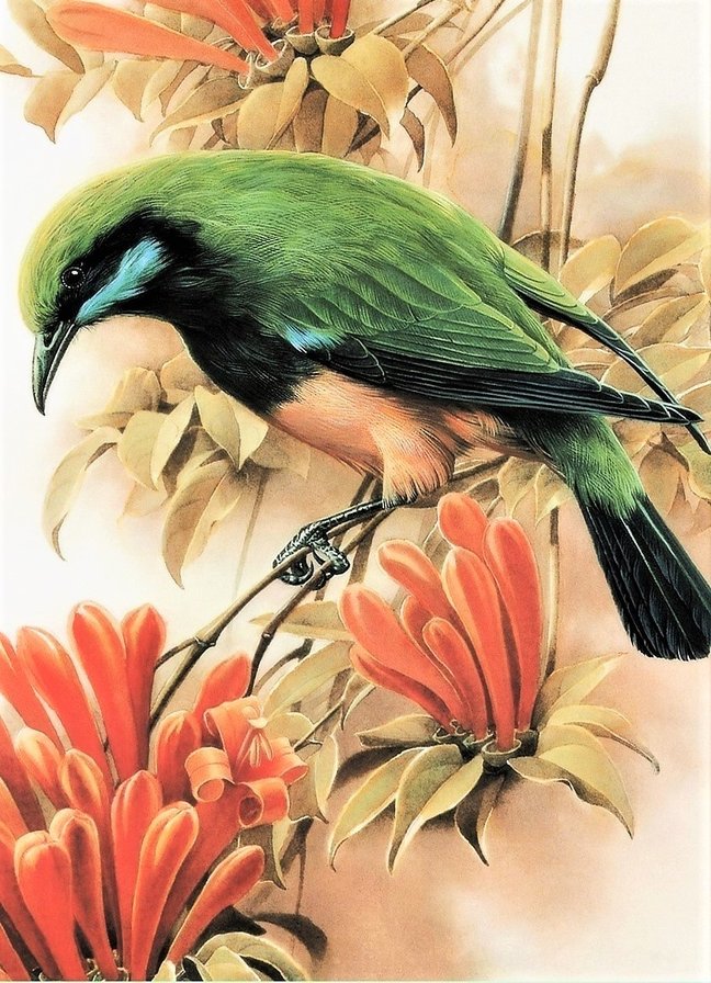 Птица - цветы, птица - оригинал