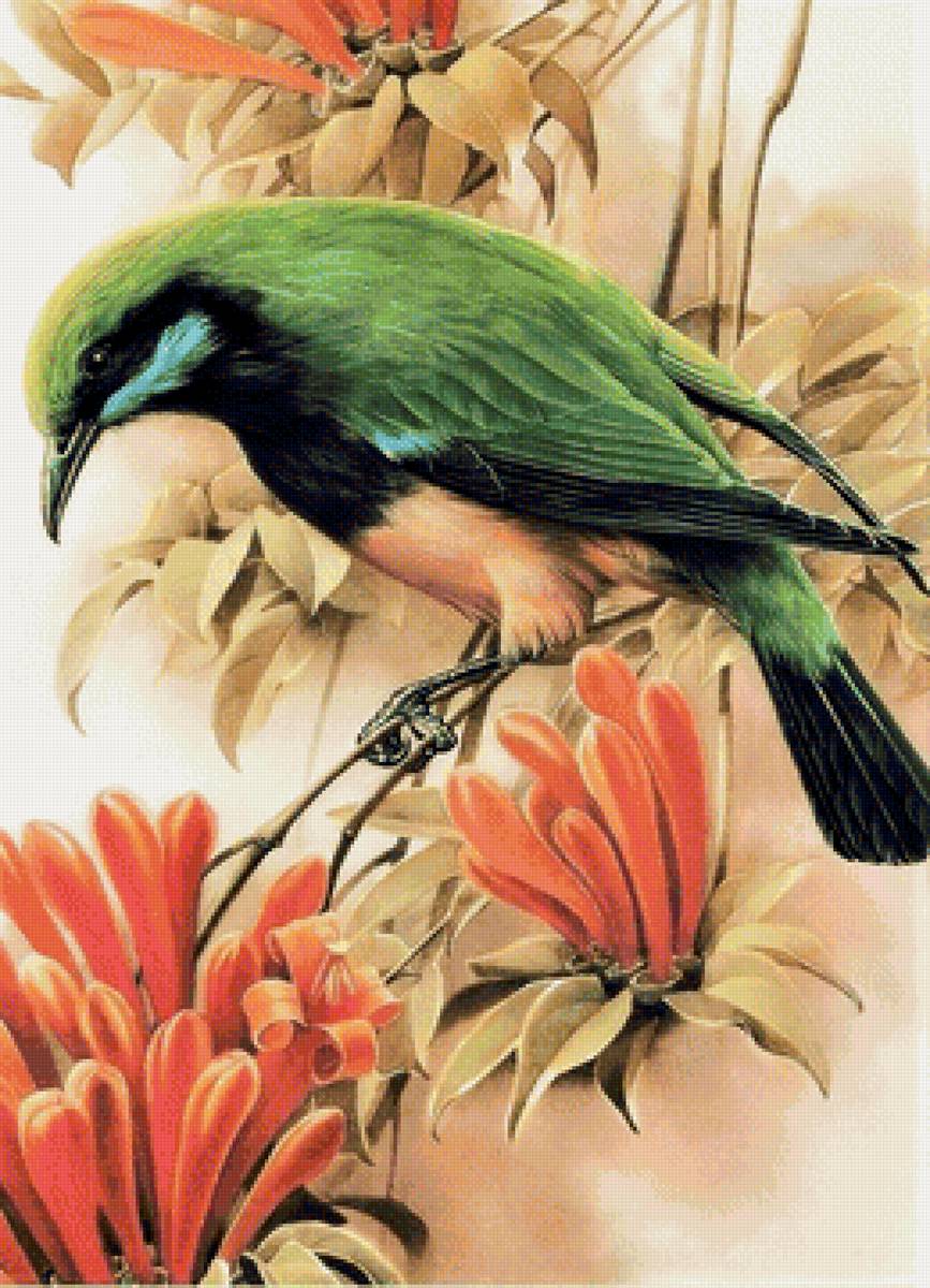 Птица - цветы, птица - предпросмотр