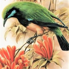 Схема вышивки «Птица»