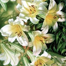 Схема вышивки «№1703268»