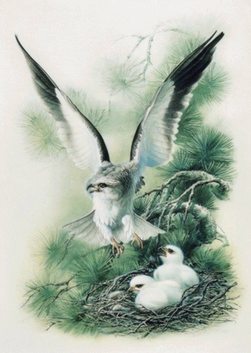 №1703272 - предпросмотр