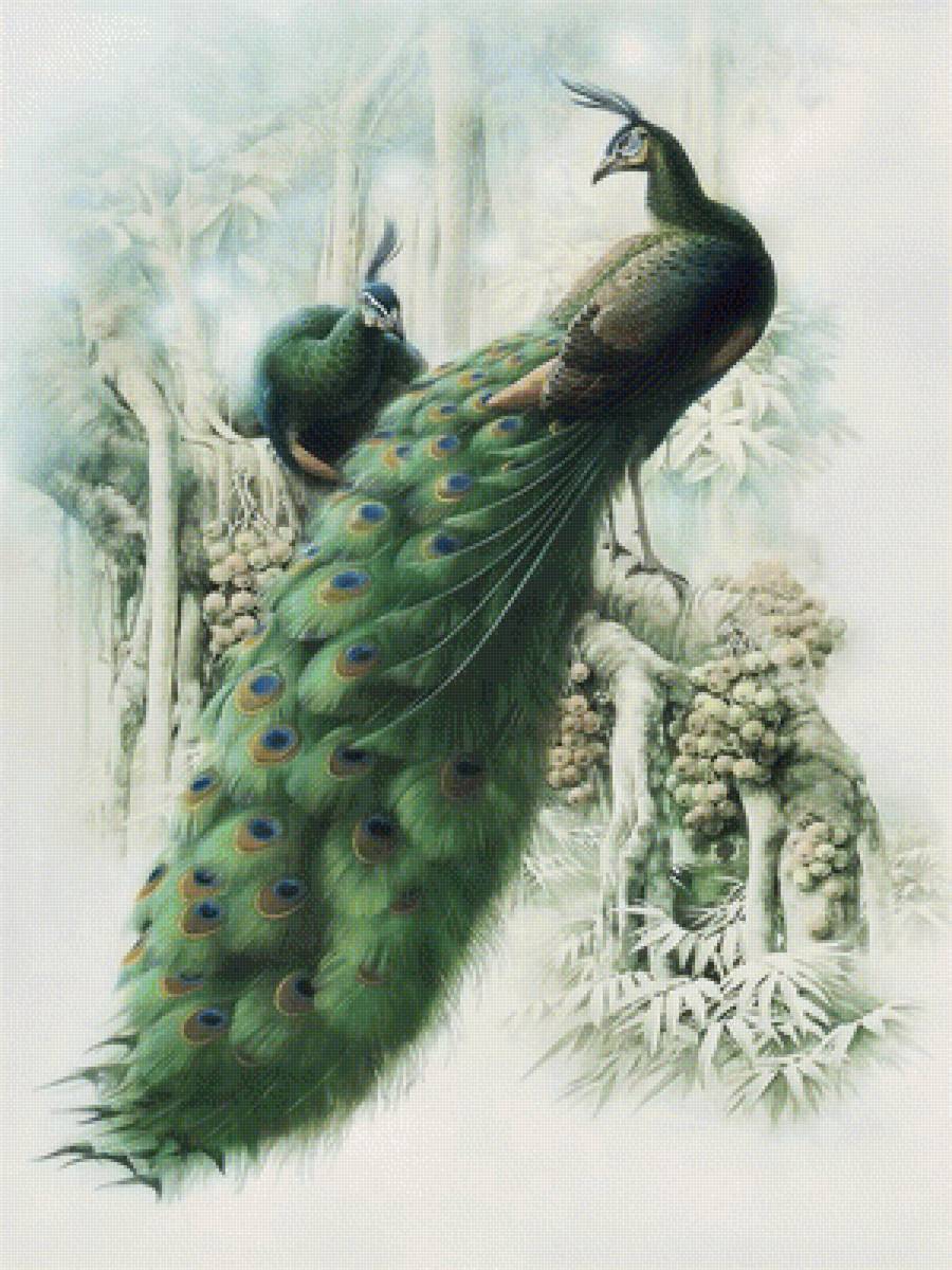 №1703275 - предпросмотр