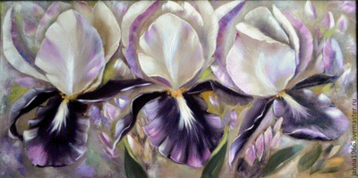 ирисы трио - предпросмотр