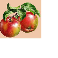 Схема вышивки «Серия "Фруктово-ягодная". Яблоки»