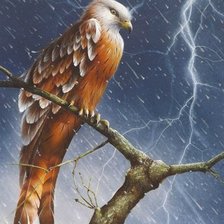 Схема вышивки «Гроза»