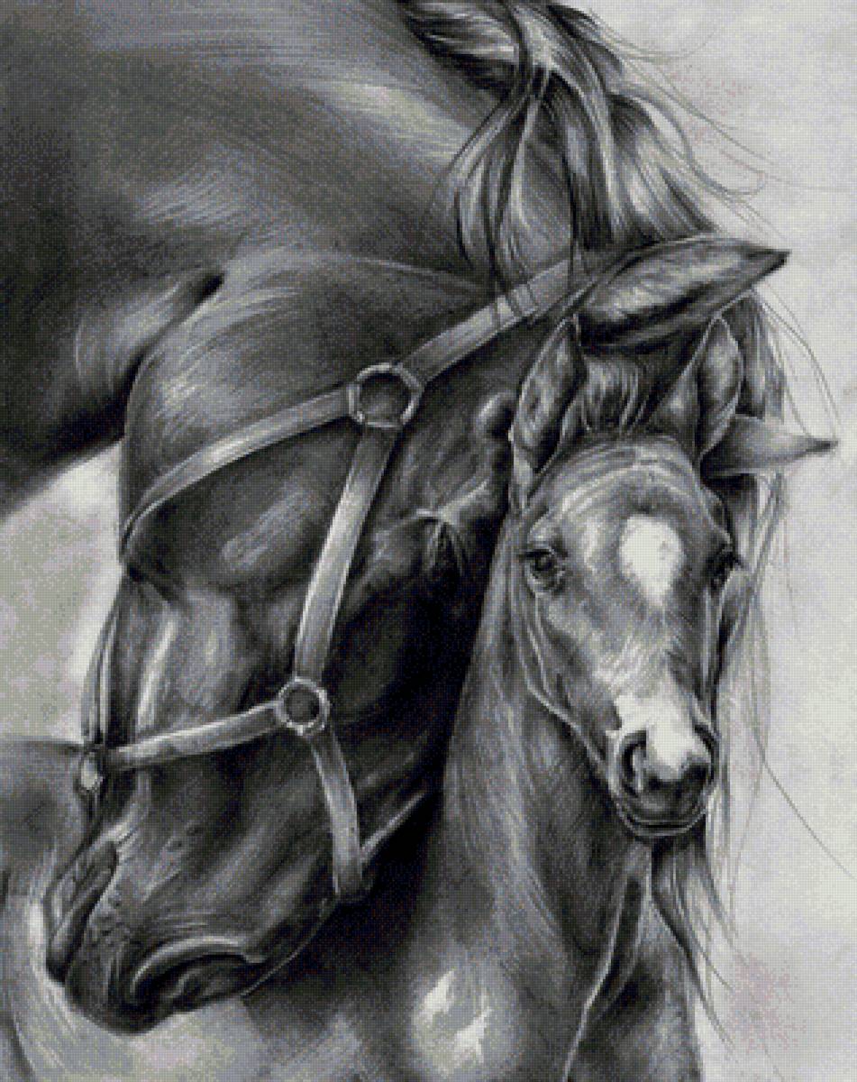 нежность - предпросмотр